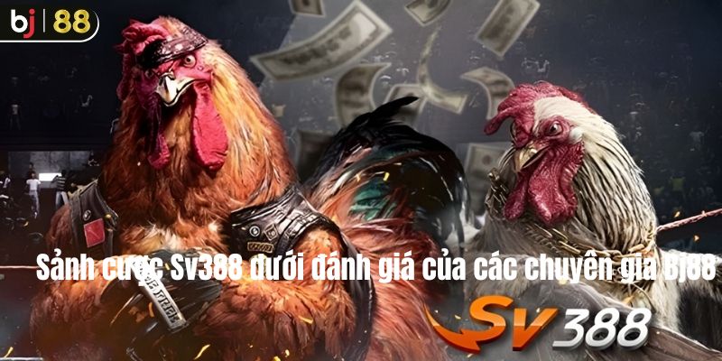 Sảnh Sv388- Sảnh game hay của thời đại